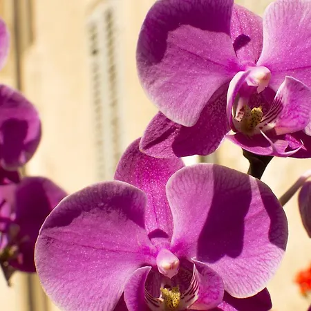 Bed & Breakfast La Corte Dei Principi - Residenza D'epoca 3*